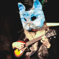 Tybalt the Troubadour / Cat